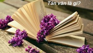 Tản văn là gì? Đặc trưng của tản văn là gì?