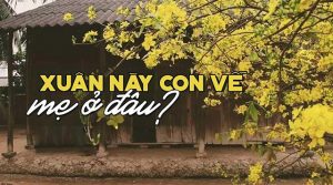Xuân này con về mẹ ở đâu Lyrics