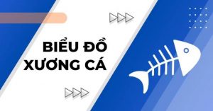 Biểu đồ xương cá: Định nghĩa, phân loại và cách triển khai